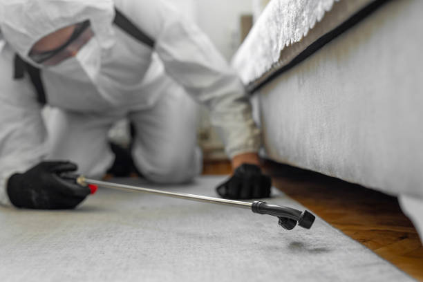 Professional Bed Bug Control technician working in Tattnall County County, GA